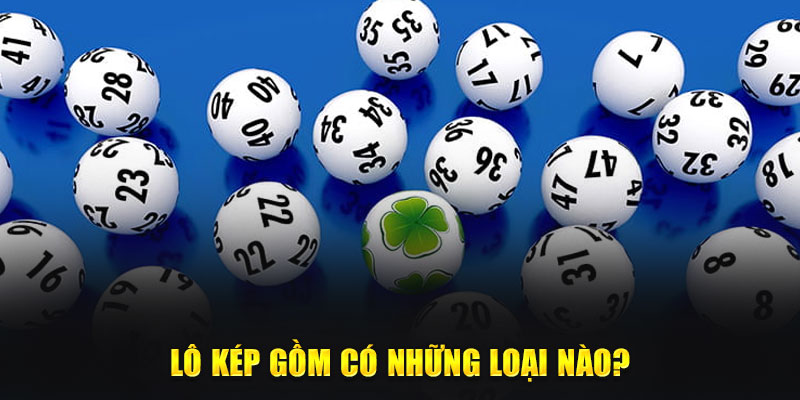 Lô kép gồm có những loại nào?