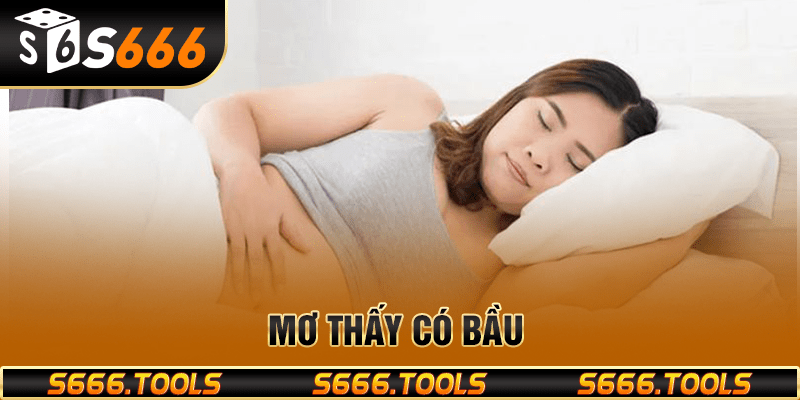 Nằm mơ thấy có bầu: Tiết lộ thông điệp và con số bí ẩn