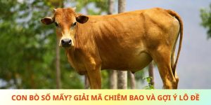 Con Bò Số Mấy? Giải Mã Chiêm Bao Và Gợi Ý Lô Đề May Mắn