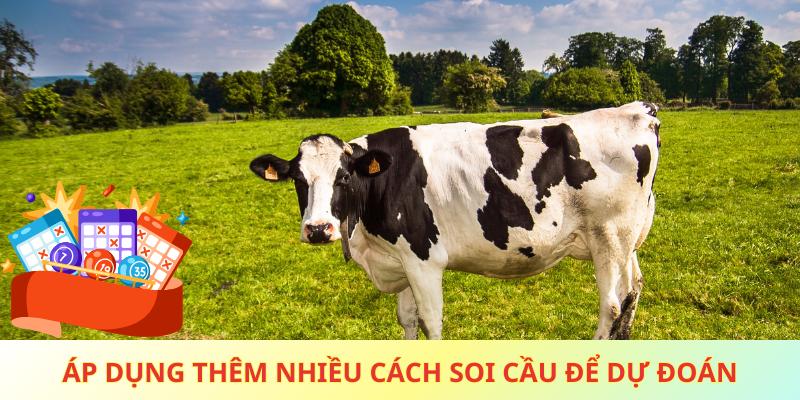 Áp dụng thêm nhiều cách soi cầu để dự đoán chuẩn xác