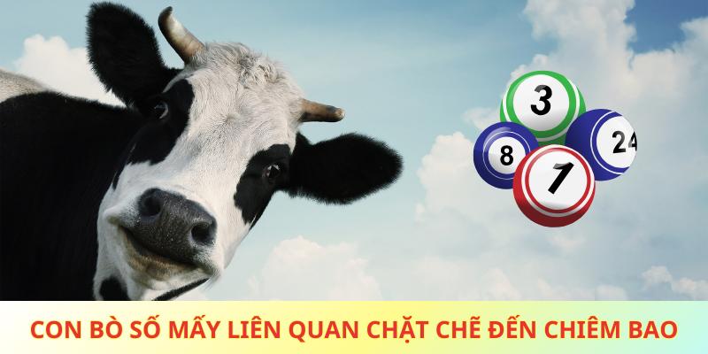 Con bò số mấy liên quan chặt chẽ đến nội dung chiêm bao