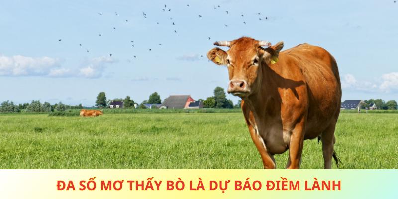 Đa số mơ thấy bò là dự báo điềm lành